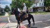 Horseback rider helps police in New Jersey catch alleged hit-and-run driver